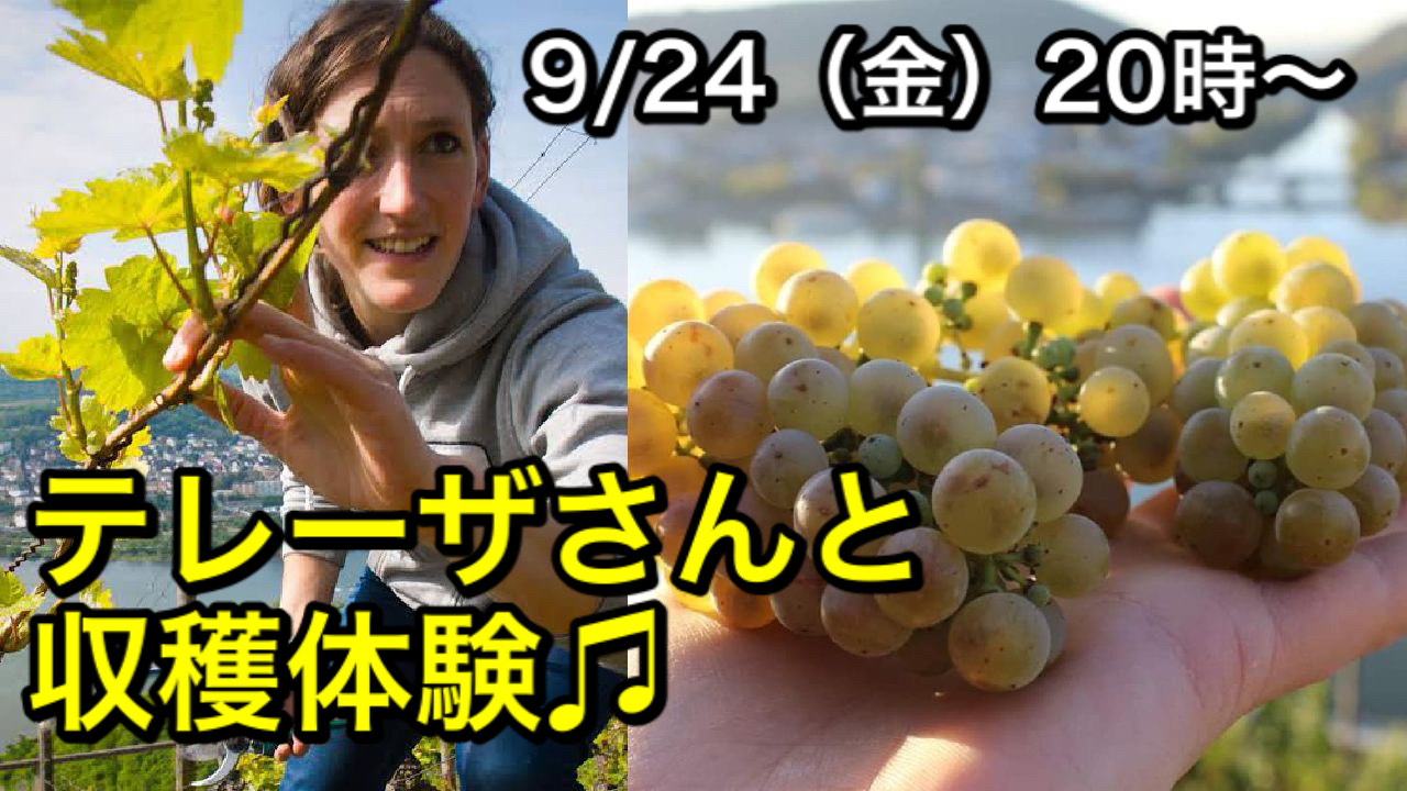 インスタライブ！ ヘレンと飲めへん？ ドキドキドイツナイト ～テレーザ・ブロイヤーさんと収穫体験♪2021年収穫ライブ！～